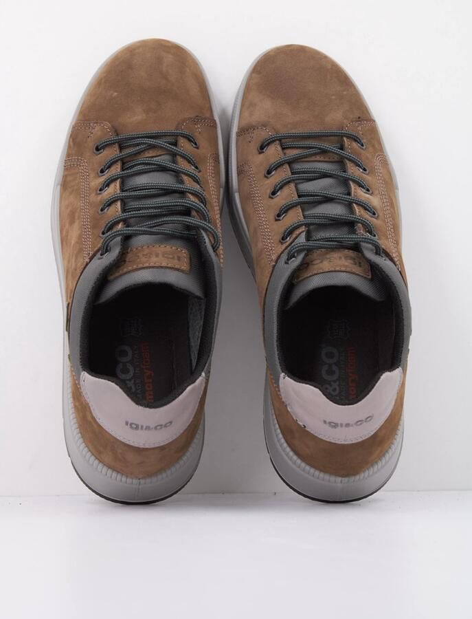 IGI&CO 2125622IG Bruin