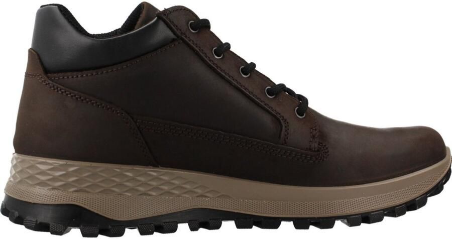 IGI&CO 2127311IG Bruin