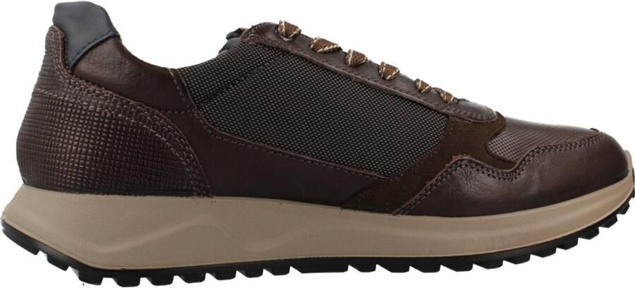 IGI&CO 2138311IG Bruin