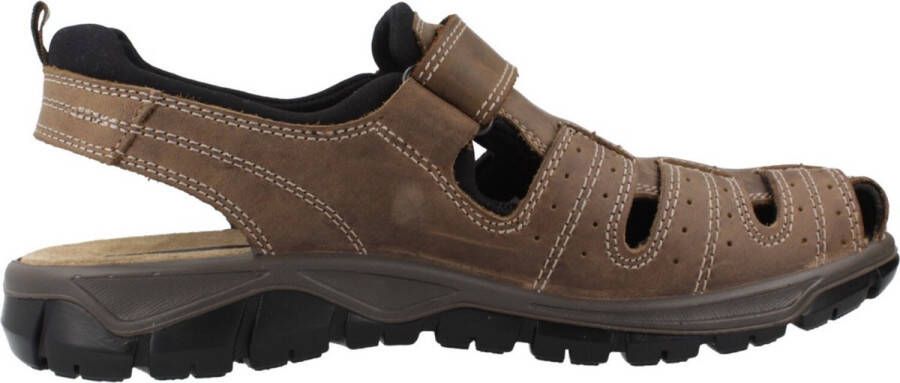 IGI&CO U EVEREST Bruin