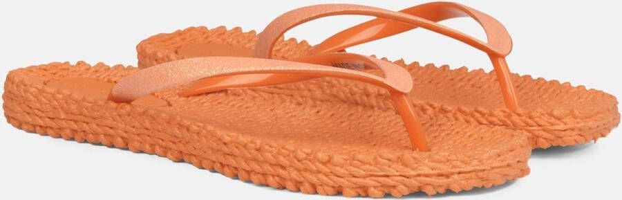 Ilse Jacobsen Flip-Flops
