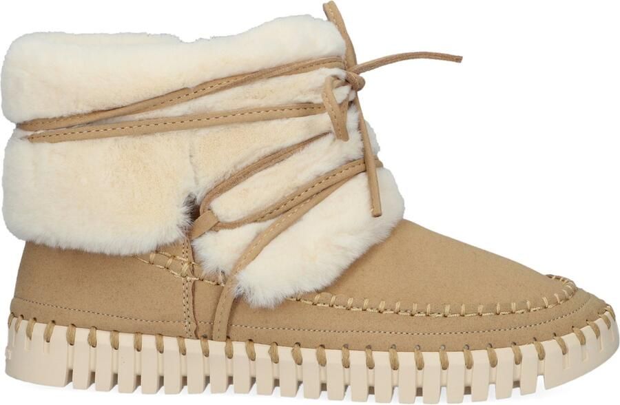 Ilse Jacobsen Vrouwen Suède Enkellaarsjes Laarzen Damesschoenen Tulip 6072 Beige - Foto 5