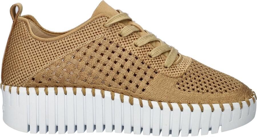 Ilse Jacobsen Tulip dames sneaker Goud