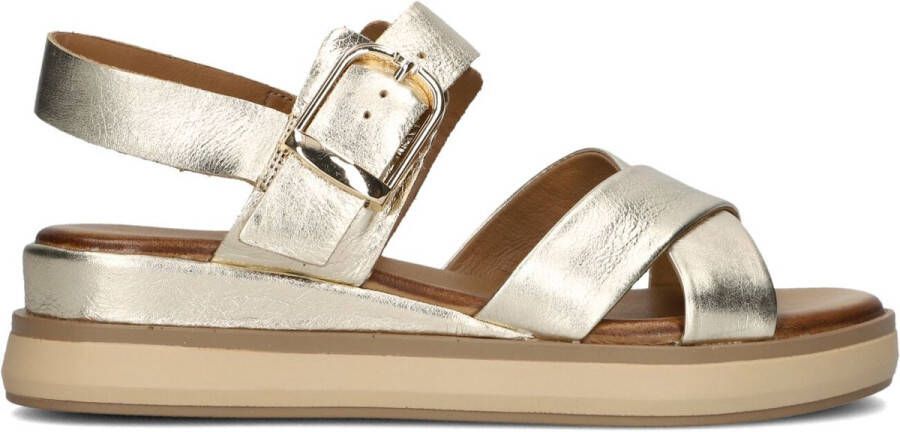 Inuovo 113117 Sandalen Dames Goudkleurig