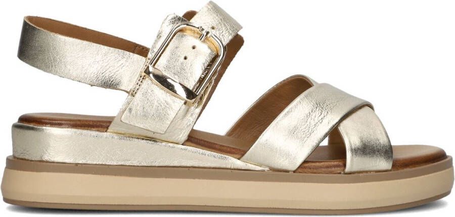 Inuovo 113117 Sandalen Dames Goudkleurig