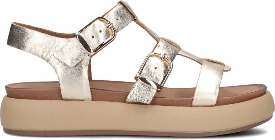 Inuovo A96046 Sandalen Dames Goud