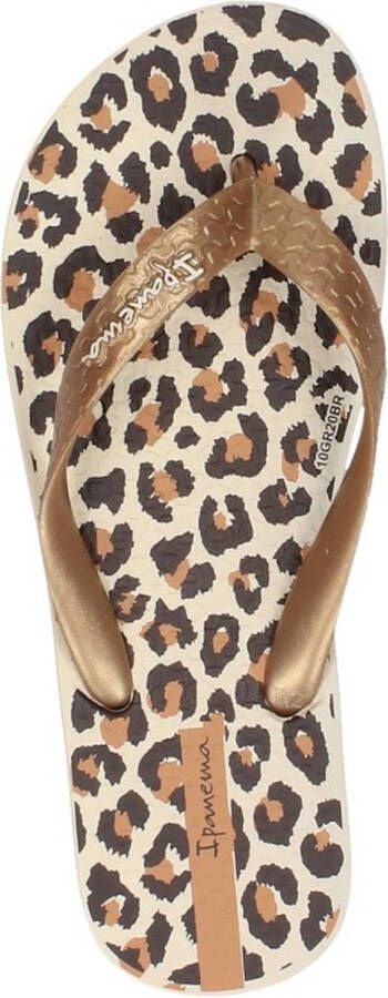 Ipanema Classic Kids Slippers Dames Junior Beige Gold Brown