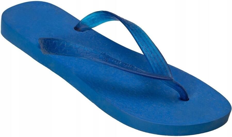 Ipanema Flip-flops Dames Blauw Synthetisch