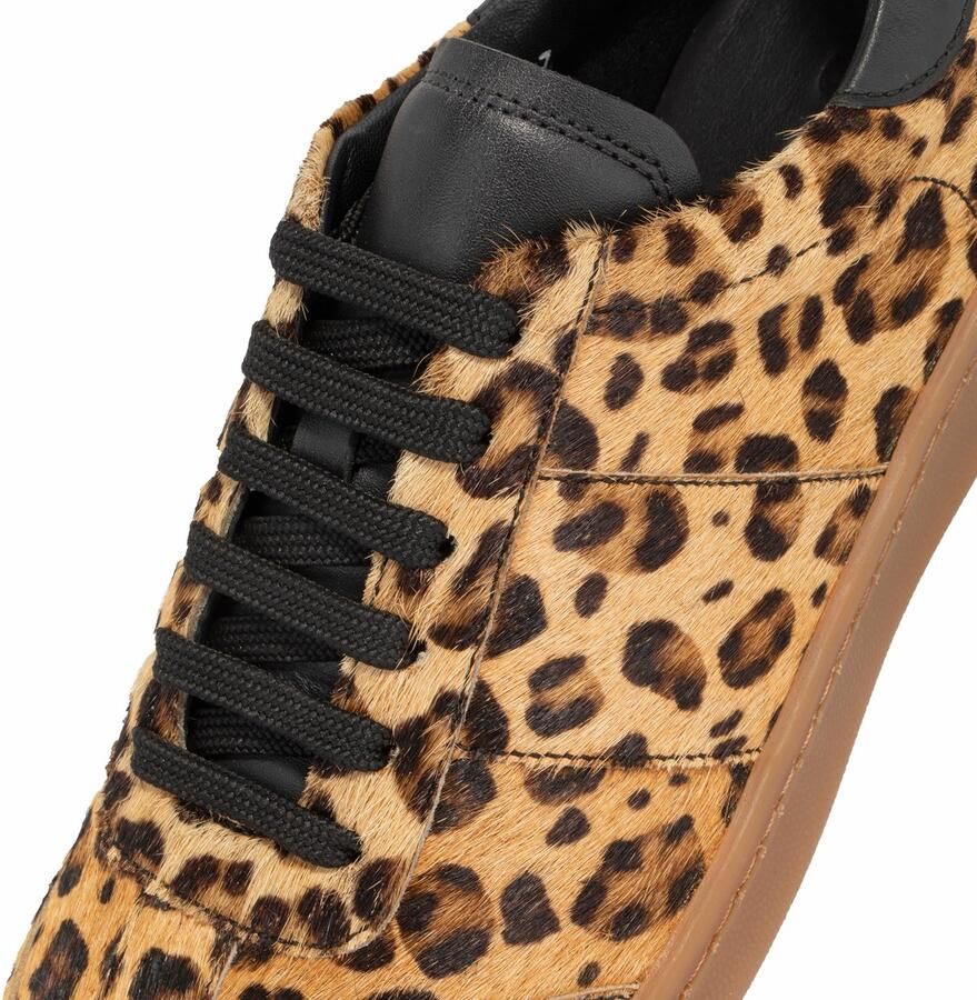 Joop Damen Sneaker Leo Isa