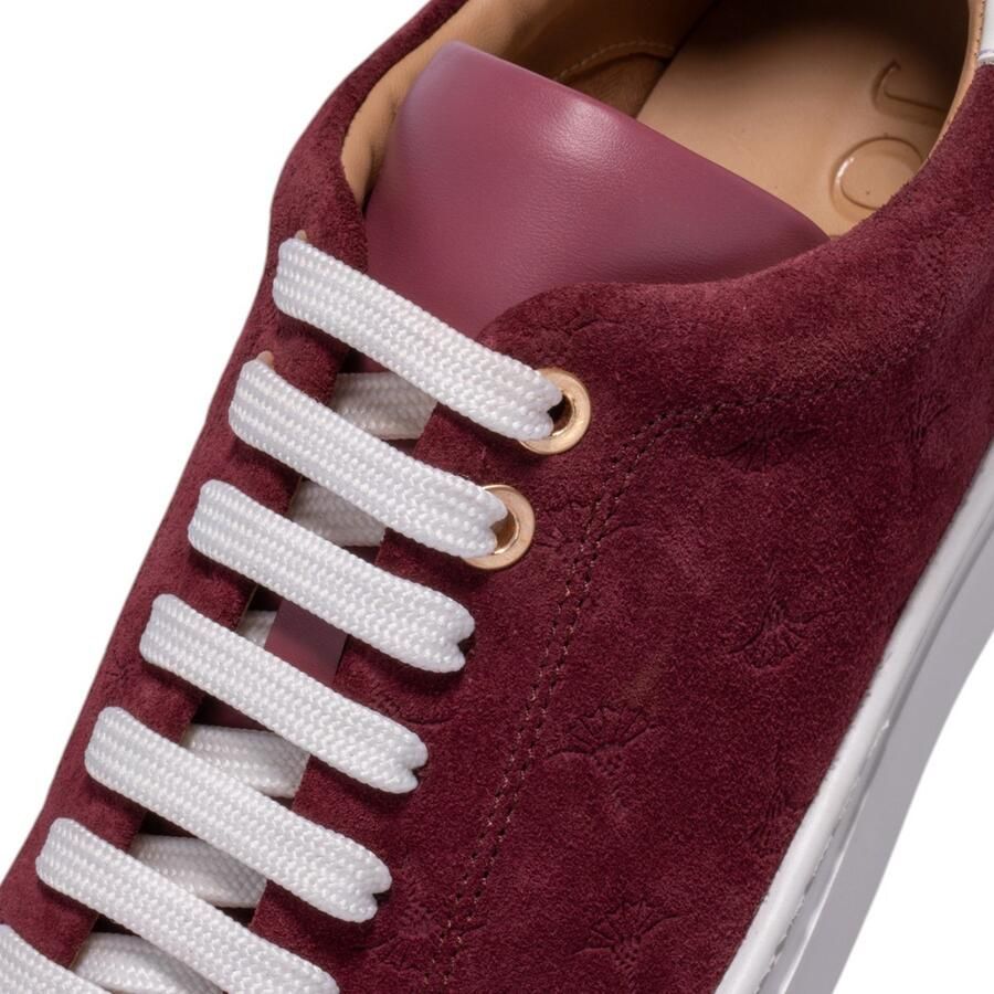 Joop Damen Sneaker Velo Stampa Cari