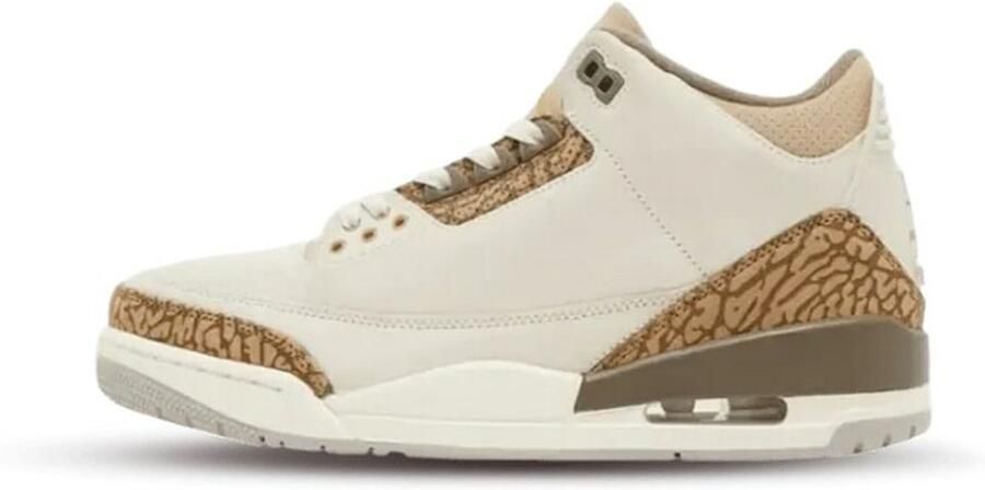 Air Jordan 3 Retro 'Palomino' (GS)