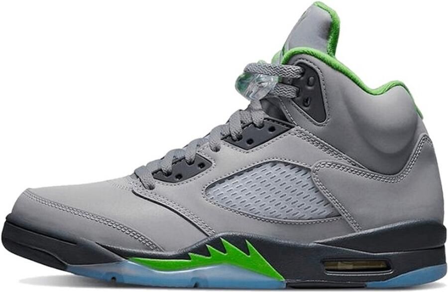 Jordan Air 5 Retro Silver Green Bean Flint Grey Schoenmaat 42 1 2 Sneakers DM9014 003