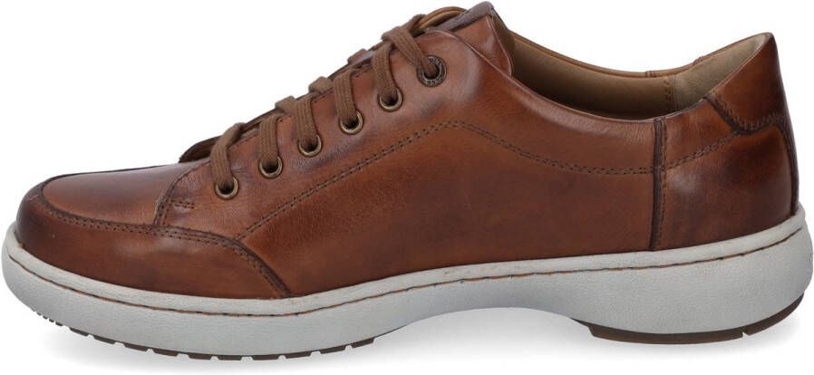 Josef Seibel David 03 Sneaker für Herren Braun