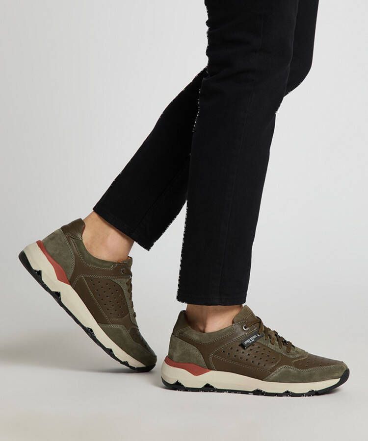 Josef Seibel Jeremiah 04 Sneaker für Herren Grün