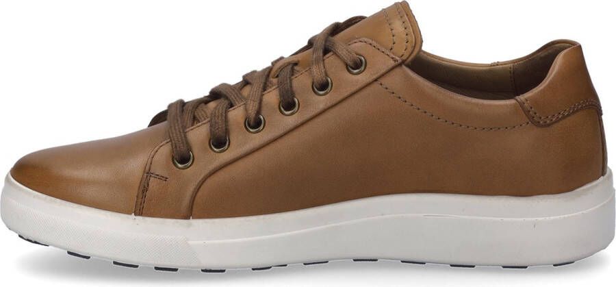 Josef Seibel Maddox 05 Sneaker für Herren Braun