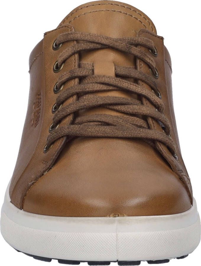 Josef Seibel Maddox 05 Sneaker für Herren Braun