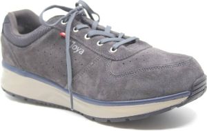 Joya Dynamo Classic M