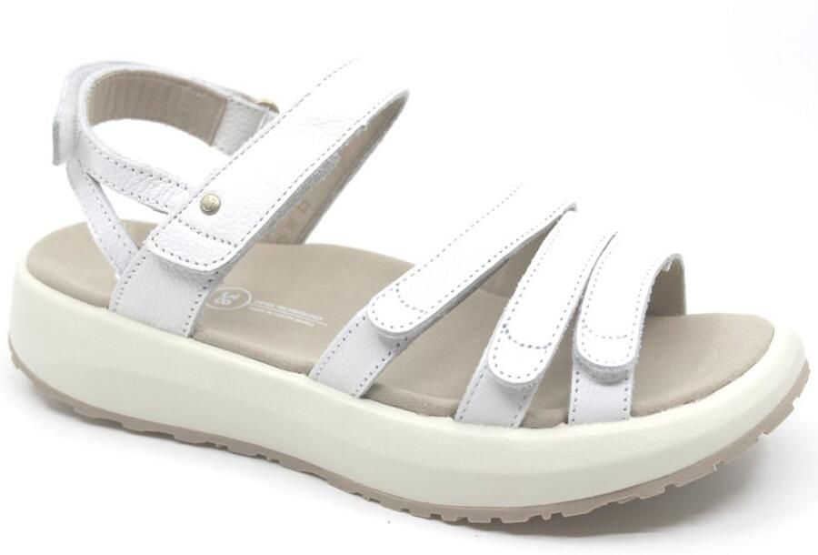 Joya MERIDA White Wijdte H