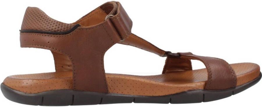 KangaROOS K856 Bruin