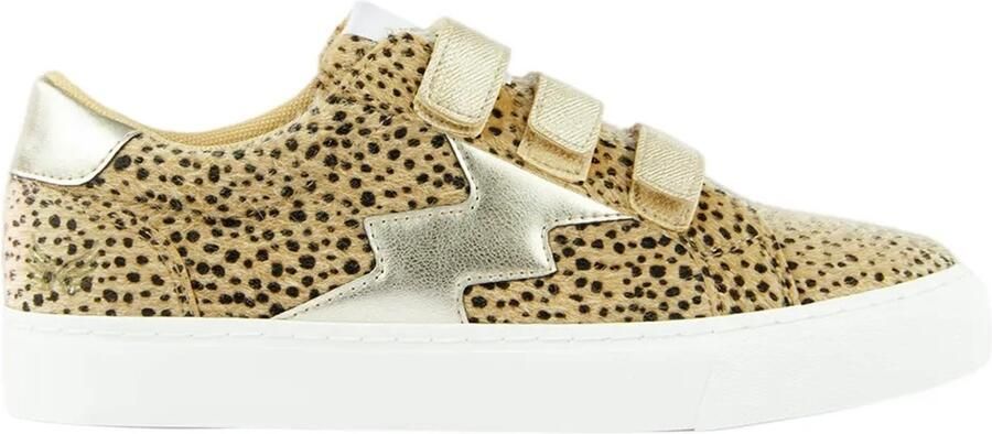 Kaporal Lage Sneakers TOUNDRA