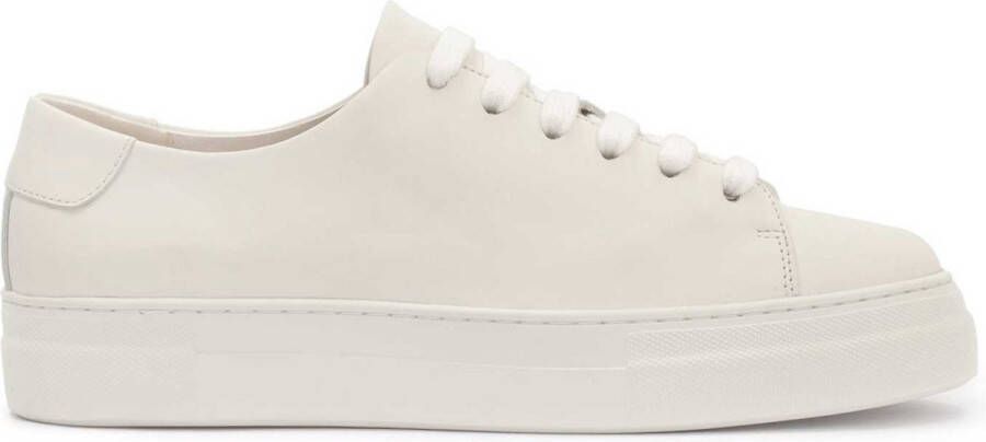 Kazar White leather sneakers with a simple upper