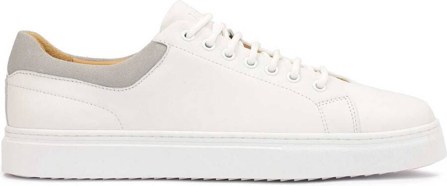 Kazar White sneakers with grey heel counter