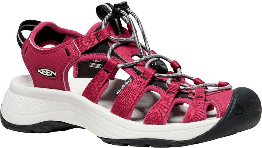 Keen Women's Astoria West Sandal Sandalen meerkleurig