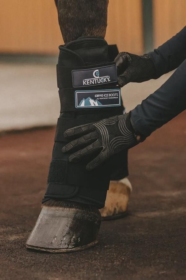 Kentucky Horsewear Cryo Ice Boots Maat Full
