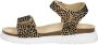 KEQ Meisjes sandalen Meiden Sandalen Cognac - Thumbnail 1