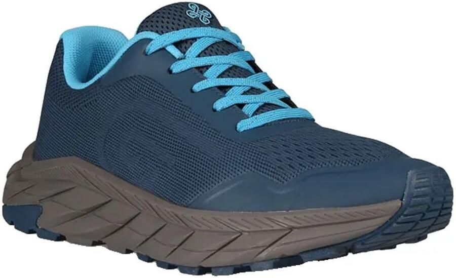 Kilpi Mounty Low Wandelschoenen Blauw