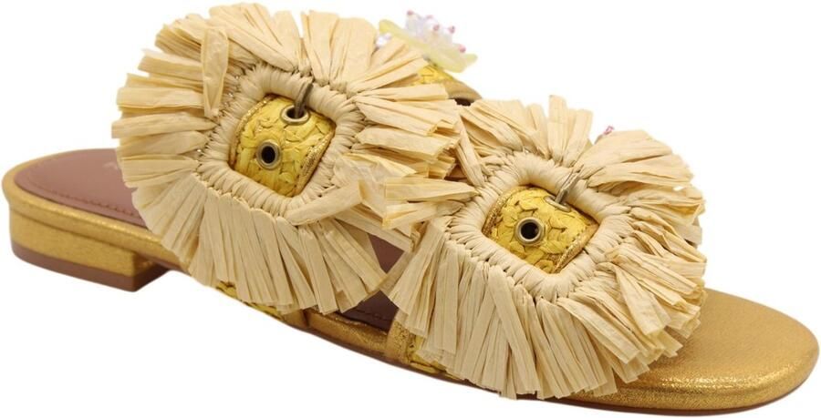 Kurt Geiger London Raffia Buckle Flat Sdl Slippers Dames Goudkleurig - Foto 6