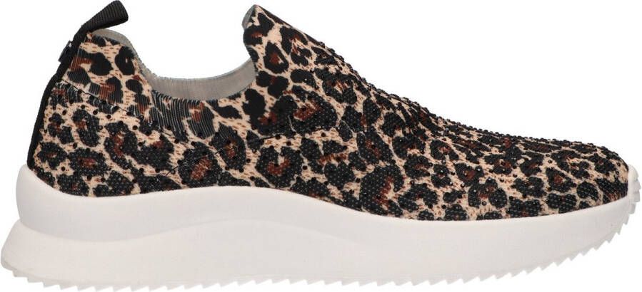 La Strada Instapsneaker luipaardprint dames