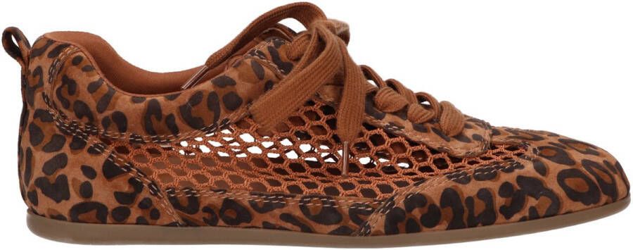 La Strada Sneaker luipaard mesh dames