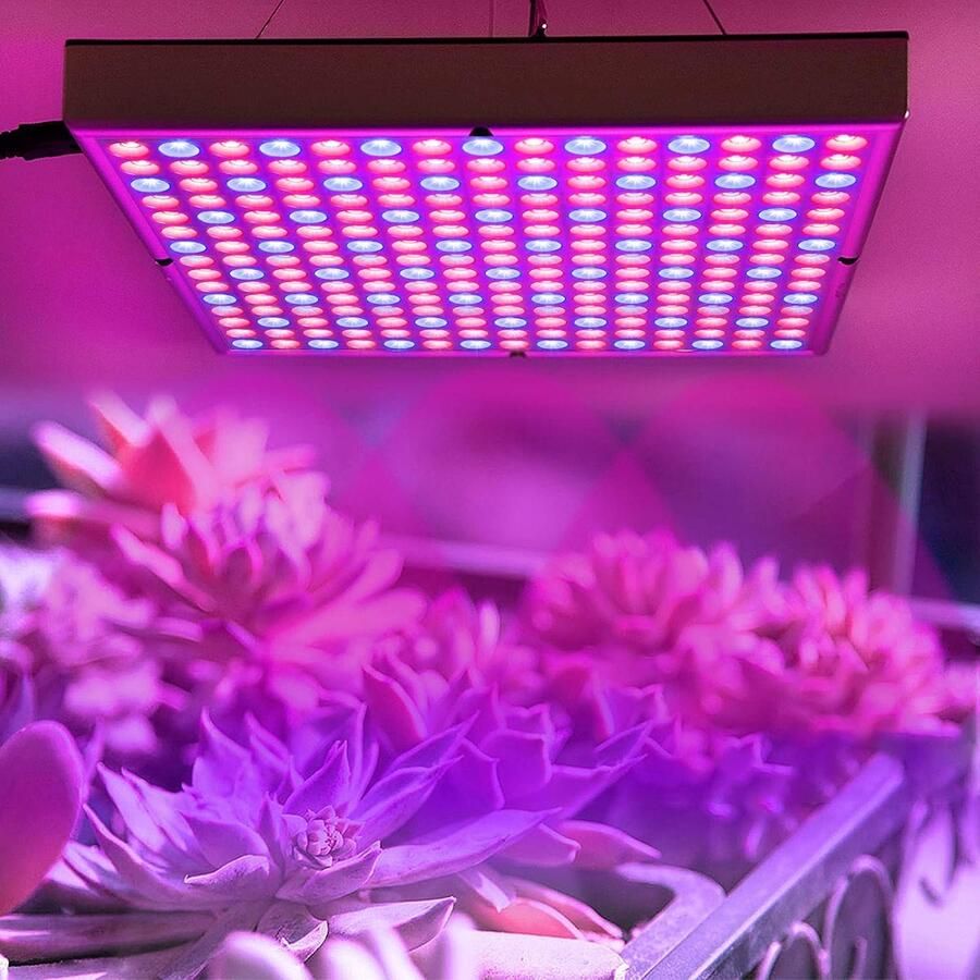 LARS360 45 W LED plantenlamp plantenlicht plantenlamp van 225 rode & blauwe leds groeilamp voor kas kamerplanten planten met 1 5 m kabel (45 W LED plantenlamp)