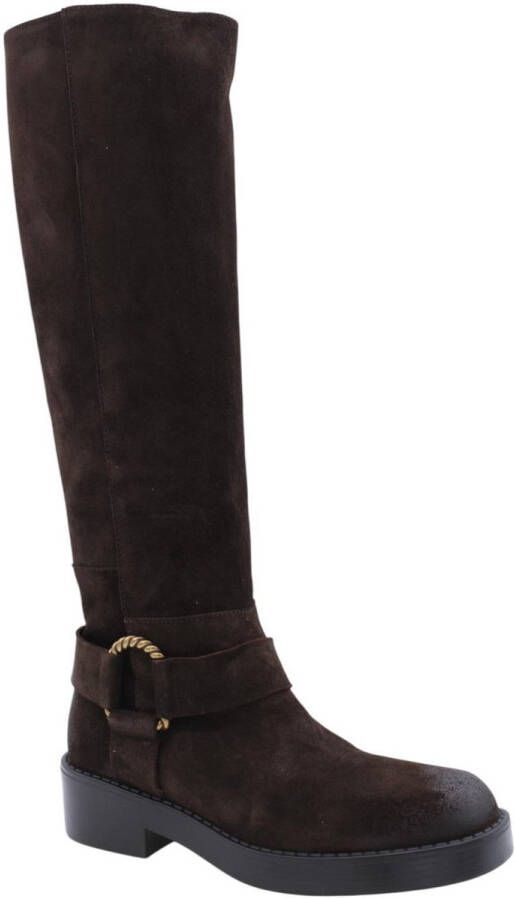 Laura Bellariva Schoenen Donkerbruin Vrouwen - Foto 1