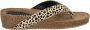 Lazamani Dames Slippers 75.485 Dalmatian - Thumbnail 1