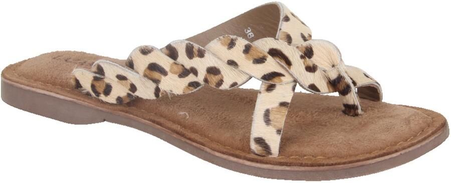 Lazamani Avi Dames Teenslippers Leopard