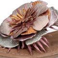 Lazamani Platte sandalen Muiltjes - Roze