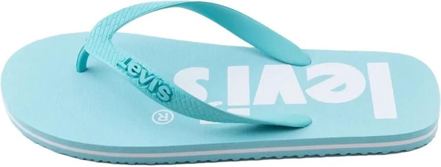 Levi´s Footwear Dixon Poster Slippers Blauw Man