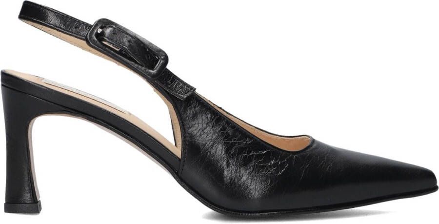 Lina Locchi Au263\m Schoenen Dames Zwart