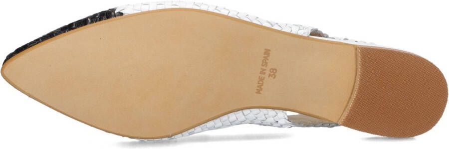 LINA LOCCHI Ballerina Dames Gevlochten Combi Ballerina Maat: 36 Materiaal: Leer Kleur: Wit