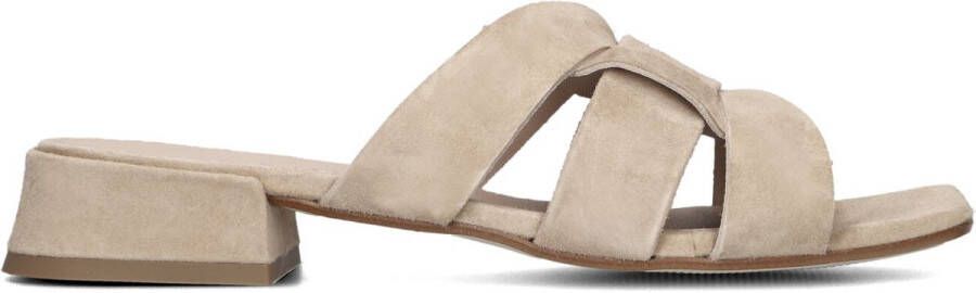 LINA LOCCHI Muiltjes Dames L1381 Maat: 36 Materiaal: Suède Kleur: Beige