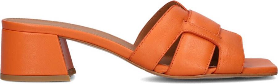 Lina Locchi L1398 Hakken Blokhak Dames Oranje