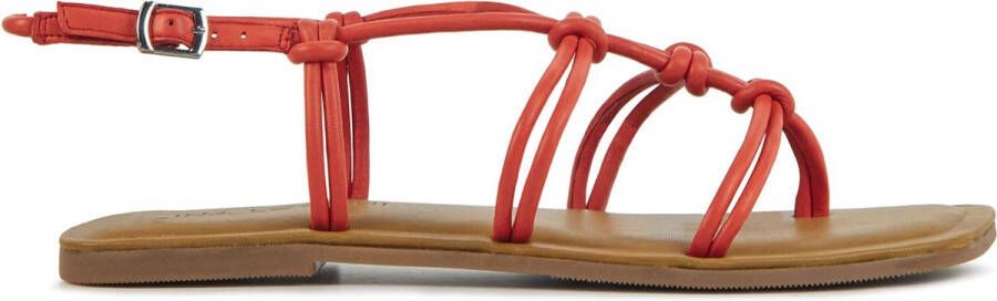 Lina Locchi Sandalen Vrouwen L1285 Oranje