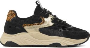 Lina Locchi Sneakers Dames Lage sneakers Damesschoenen Suède L1306 Zwart combi