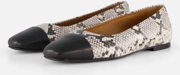 Linea zeta ballerina neus cap snake
