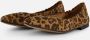 Linea zeta Leopard Ballerina's bruin Leer - Thumbnail 1