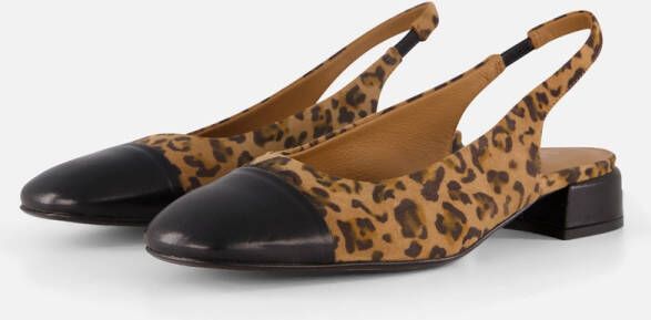 Linea zeta Leopard Slingbacks zwart Leer