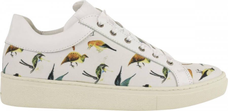 Linkkens Brave sneaker Birds Jheronimus Bosch