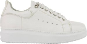 Linkkens Sinisa sneaker nappa wit